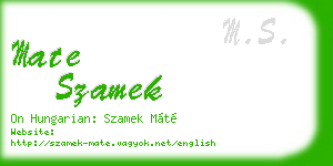 mate szamek business card