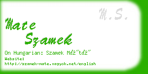 mate szamek business card